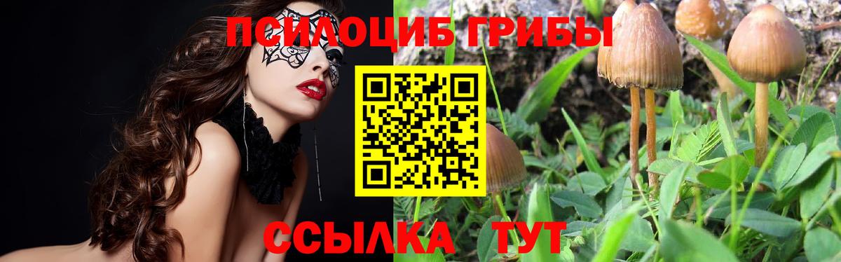 Псилоцибиновые грибы MAGIC MUSHROOMS Костомукша