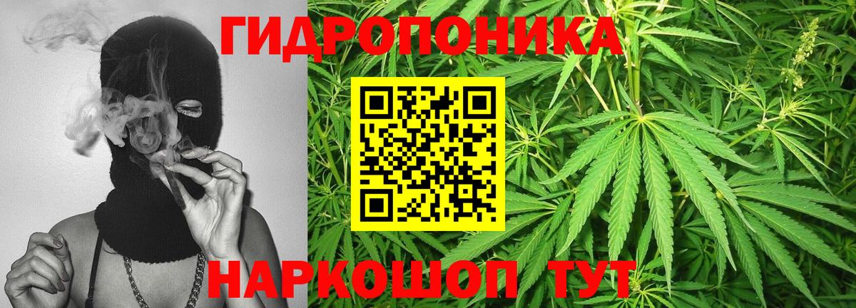 Костомукша  Бошки Шишки Ganja  Вход с VPN  Шишки марихуана план  МАРИХУАНА марихуана  Марихуана марихуана 